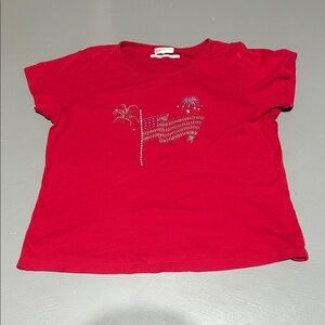 Fashion Bug Red USA Flag Patriotic Shirt (Women’s XL)